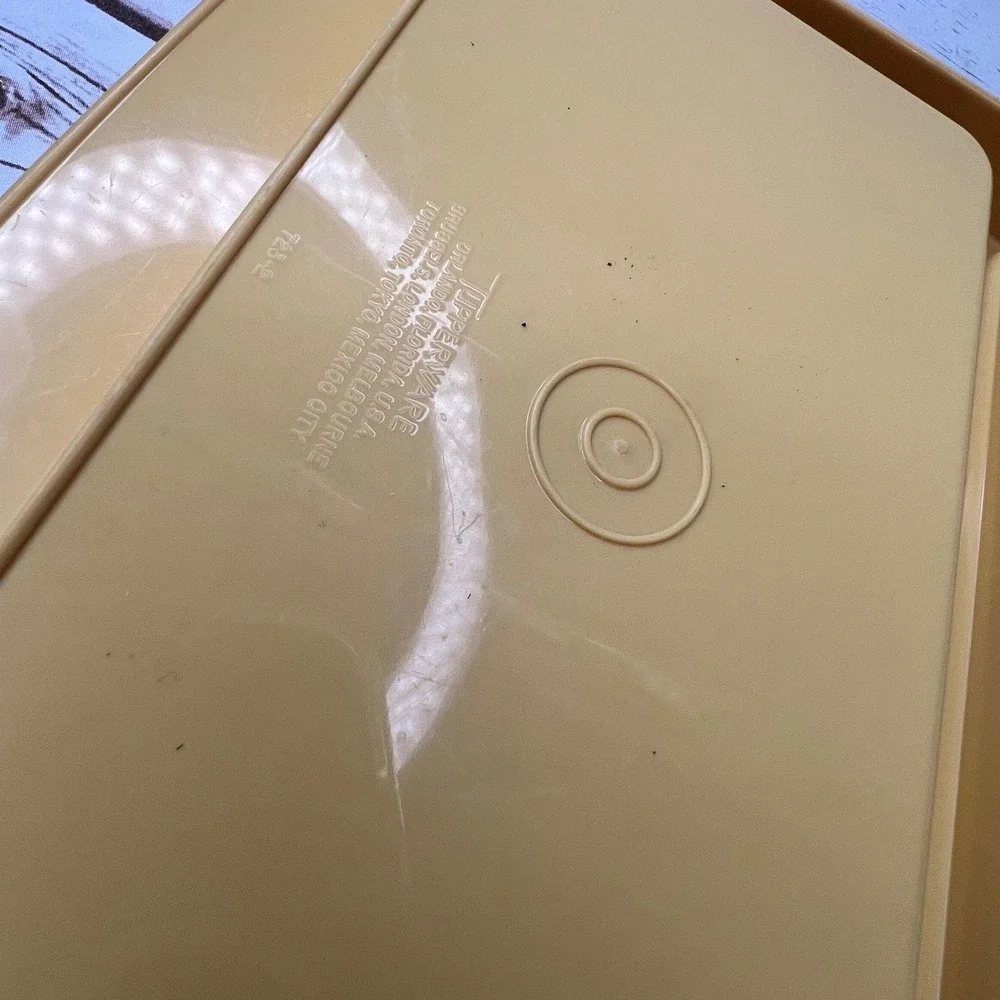 Tupperware Divided Serving Tray Harvest Gold Yellow Vintage 723-2 15 Inch